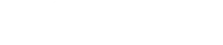 Partner 8